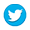 icon-twitter